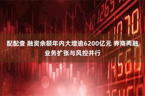 配配查 融资余额年内大增逾6200亿元 券商两融业务扩张与风控并行